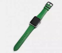 每年除了苹果会按期推出多种配色的AppleWatch表